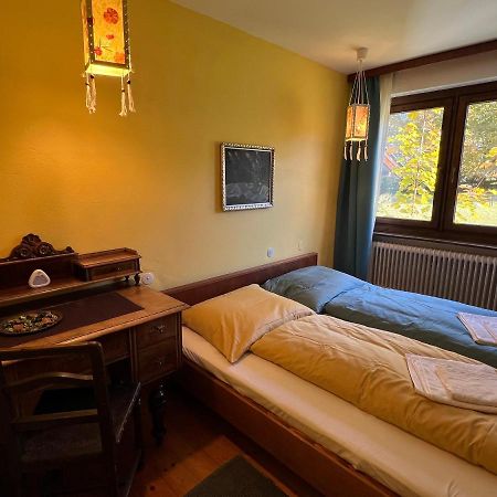 Apartament Haus Im Gruenen Saalfelden Zewnętrze zdjęcie